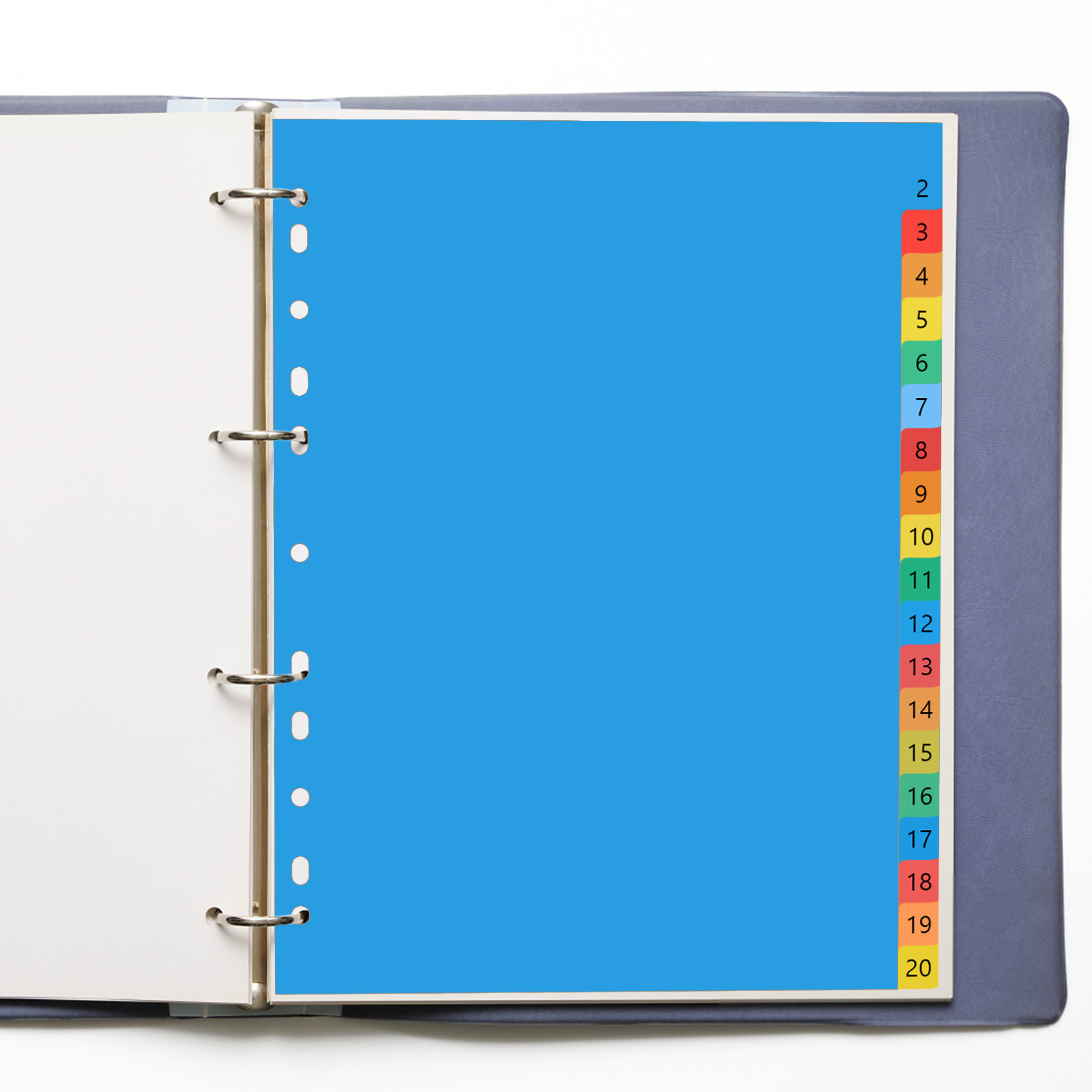 Separadores de pestañas de plá - Tab Divider A4 reseña y precio